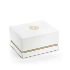 Aion Chronograph Guld Rustfrit Stål Ur