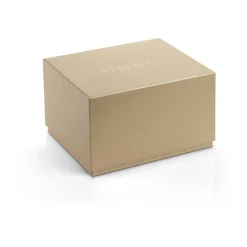 Aion Chronograph Guld Rustfrit Stål Ur