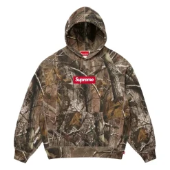 Box Logo Hooded Sweatshirt