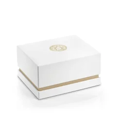 Chronograph AION sort sølv ur