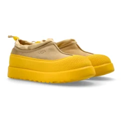 K Tasman Weather Hybrid