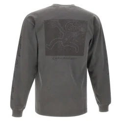 Langærmet Terrestrial T-shirt