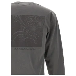 Langærmet Terrestrial T-shirt