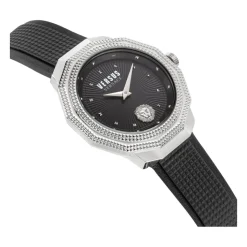 Paradise Cove Dameur