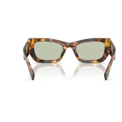 Stilfulde solbriller i Havana Grøn