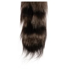 Treasure Tails Charm