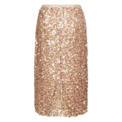 Tulle and Sequin Skirt